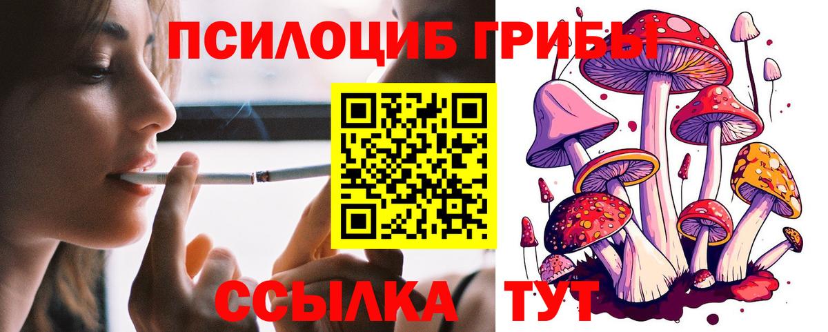 дарнет шоп  Псилоцибиновые грибы MAGIC MUSHROOMS  Вход с VPN  Муравленко  Галлюциногенные грибы мицелий 
